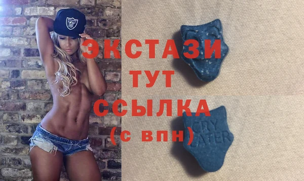 хмурый Алексин