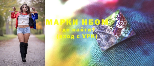 хмурый Алексин