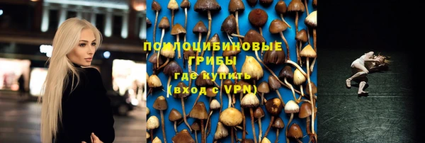 хмурый Алексин
