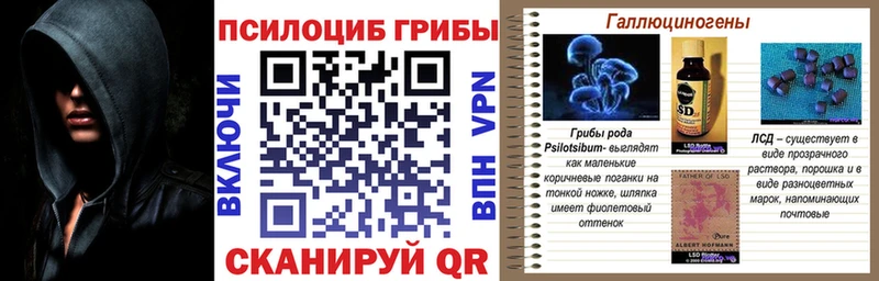 Галлюциногенные грибы Psilocybine cubensis  Карпинск 
