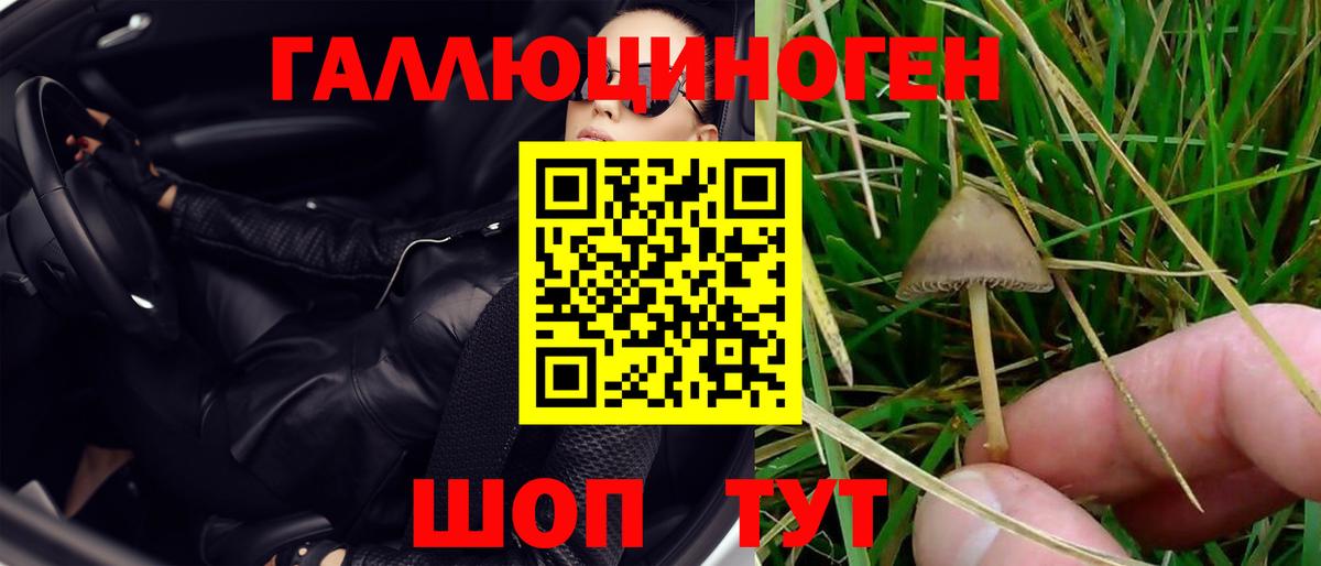 Псилоцибиновые грибы ЛСД Карпинск