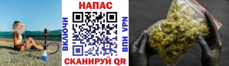купить закладку  Карпинск  Бошки Шишки MAZAR 